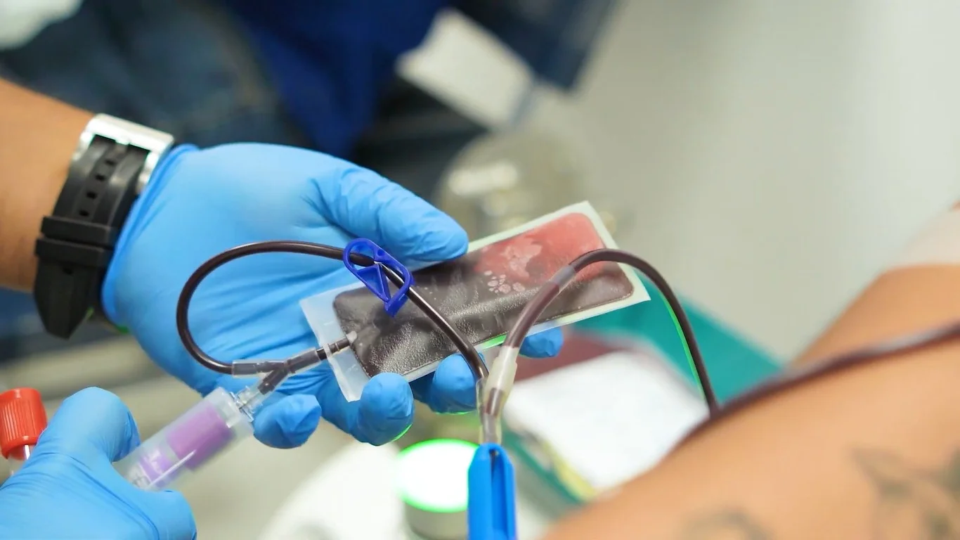 Personal sanitario manipula una bolsa durante una extracción de sangre