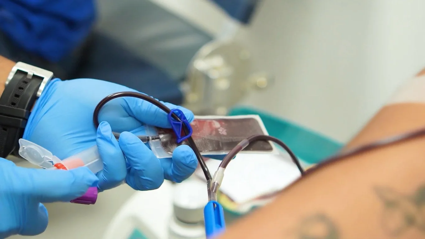 Trabajo del personal durante una extracción de sangre